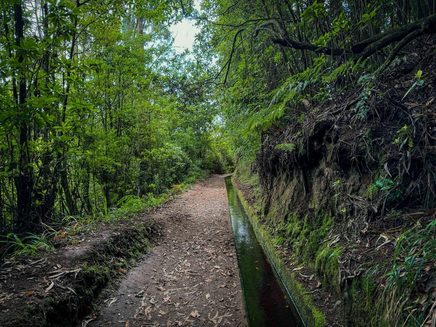 Hiking Madeira: Levada do Rei and the Majestic Laurissilva - Getting Picked Up and Settling Into the São Jorge Area