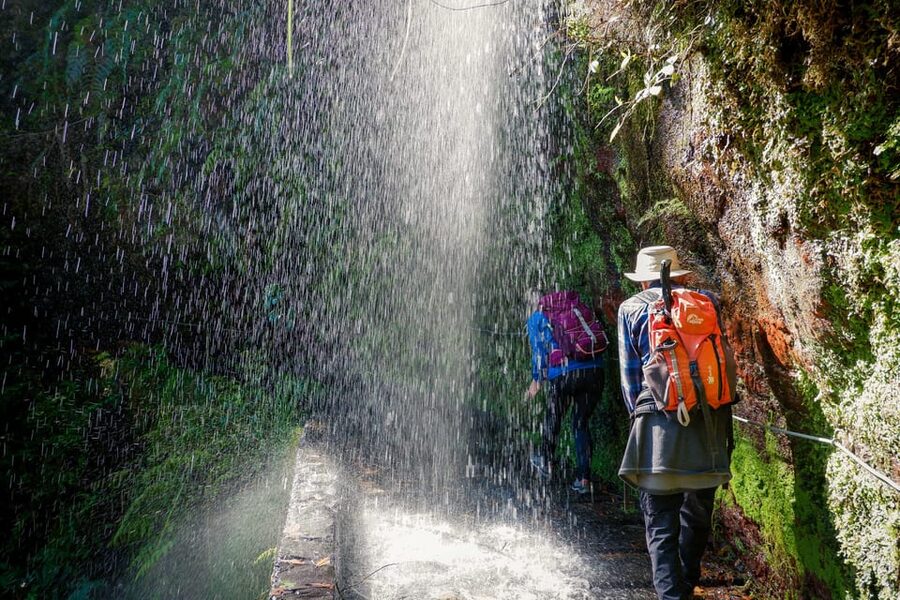 Hiking Madeira: Levada do Rei and the Majestic Laurissilva - The São Jorge Valley Segment: Medicinal Plants and Agricultural Views