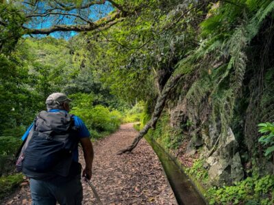 Hiking Madeira: Levada do Rei and the Majestic Laurissilva - Quebradas Start Point: The Walk Begins at the Water Treatment Station