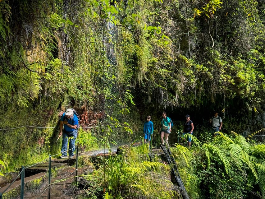 Hiking Madeira: Levada do Rei and the Majestic Laurissilva - Price and Value: Is $54 Worth It?