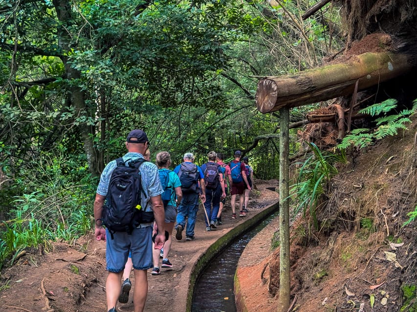 Hiking Madeira: Levada do Rei and the Majestic Laurissilva - Trail Tips That Actually Matter on This Route