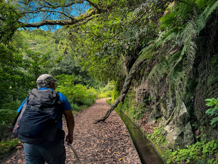 Hiking Madeira: Levada do Rei and the Majestic Laurissilva - Quebradas Start Point: The Walk Begins at the Water Treatment Station