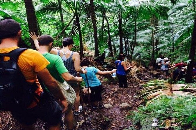 Hiking Mount Liamuiga Volcano in St Kitts - What you get for the price: value that shows up during the hike