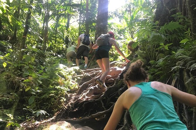 Hiking Mount Liamuiga Volcano in St Kitts - Practical tips that make the difference on Liamuiga