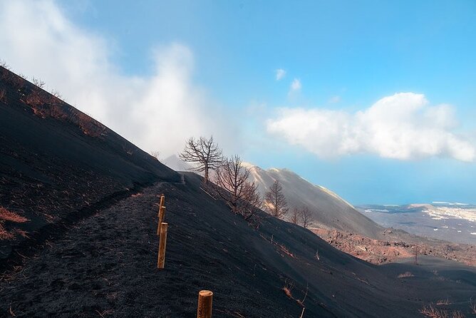 Hiking Route Visit to the New Volcano of La Palma - Price and Logistics: What to Plan Before You Go