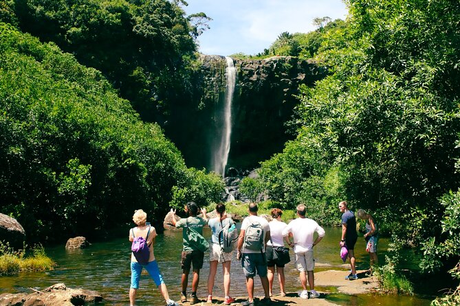 Hiking Sept Cascades (Tamarind Falls) - Half Day - Stop 1: Les 7 Cascades, canyon views, then the swim-and-massage finish