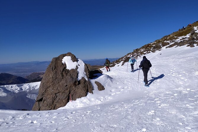 Hiking Snowshoeing in the Sierra Nevada Park, Granada - Key highlights worth your attention