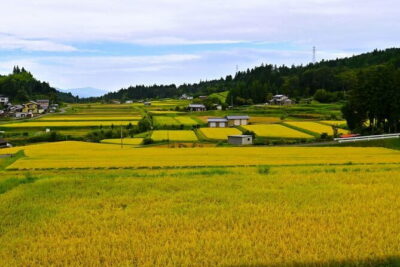 Hiking the Historic Nakasendo Trail [1 Day Tour from Nagoya] - Pickup From Nagoya: Smooth Start, Fixed Rhythm