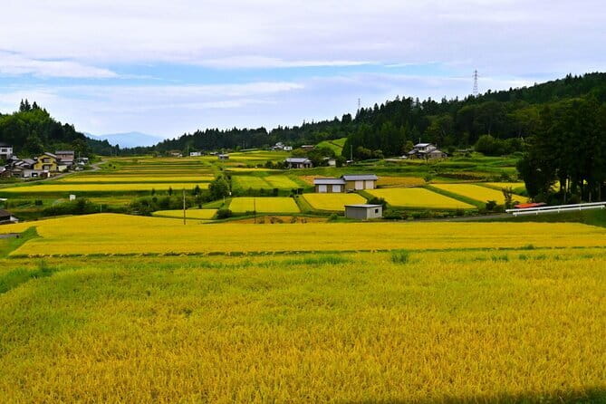 Hiking the Historic Nakasendo Trail [1 Day Tour from Nagoya] - Pickup From Nagoya: Smooth Start, Fixed Rhythm