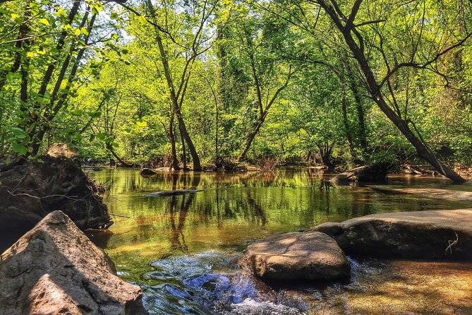 Hiking the James River in Richmond, VA - Wildlife spotting: when the best moments are unplanned