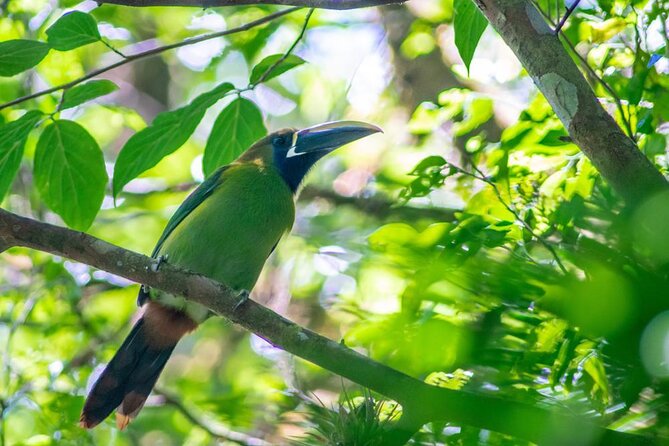 Hiking to Curi-Cancha Reserve - Key things to know before you go
