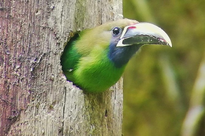 Hiking to Curi-Cancha Reserve - Why this Curi-Cancha guided hike is so worth it