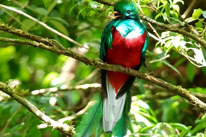 Hiking to Curi-Cancha Reserve - Guide quality can make a big difference