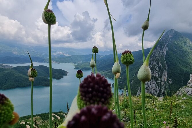 Hiking to Gamti, Bovilla Lake and Kruja Day Trip from Tirana - Stop 3: Krujë Bazaar—shopping as part of the museum, not a trap