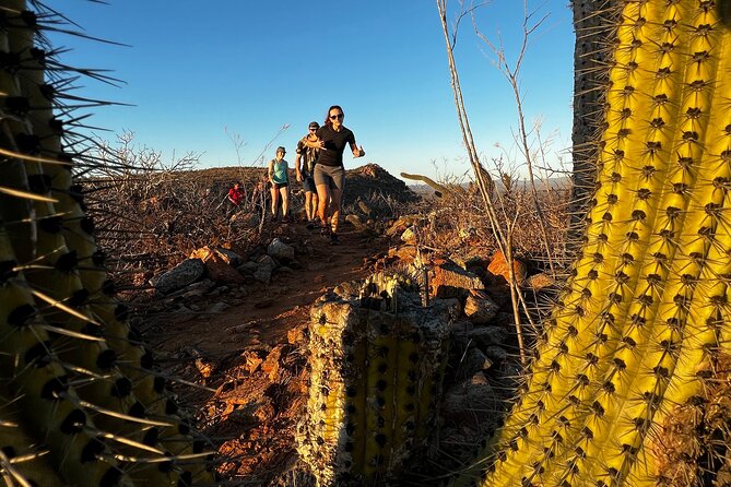 Hiking Todos Santos at Sunset - Pickup and Transport: Getting Out of Cabo Comfortably