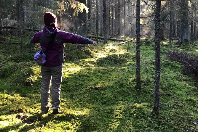 Hiking tour in Nuuksio National Park with meal and snacks - Key things I’d watch for