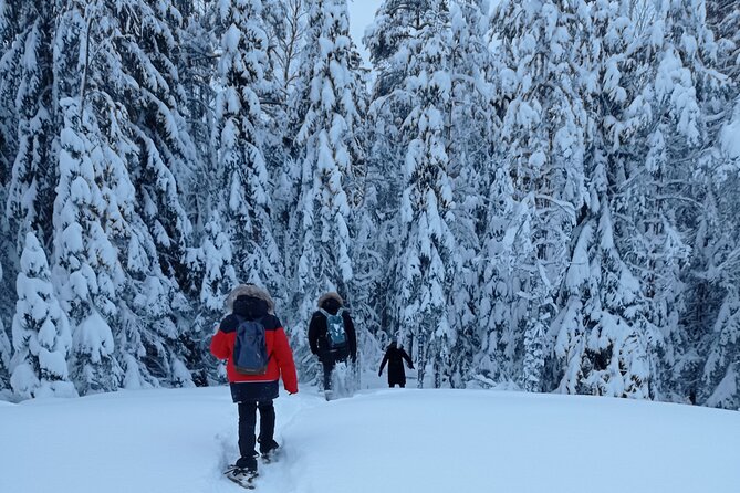 Hiking tour in Nuuksio National Park with meal and snacks - Getting started at Museokatu 8 (and how the timing works)