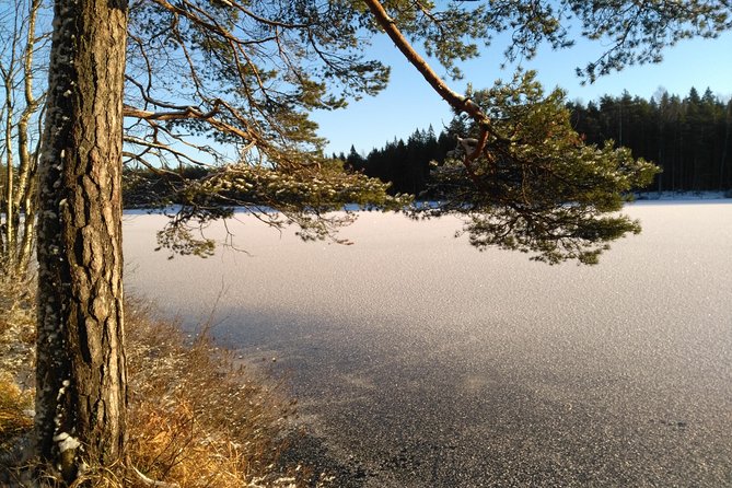 Hiking tour in Nuuksio National Park with meal and snacks - What it feels like outdoors: weather, footwear, and real terrain