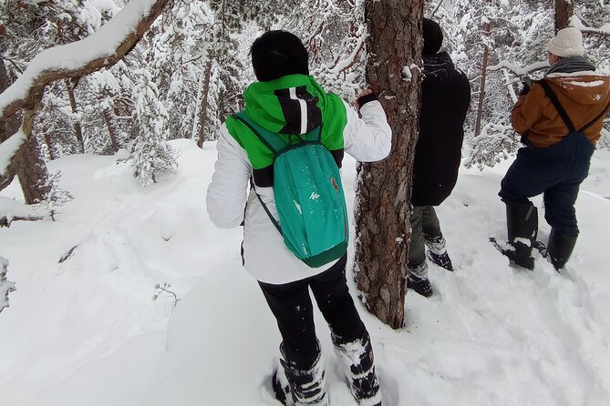 Hiking tour in Nuuksio National Park with meal and snacks - Price and value: why $113.72 can make sense