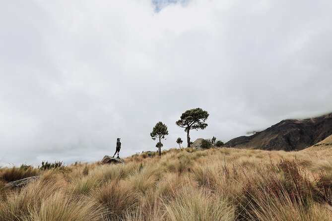 Hiking Tour on the Iztaccíhuatl Volcano from Puebla - The main hike: reaching high gates and seeing Popocatépetl