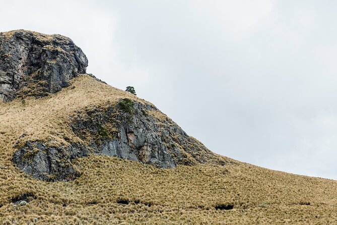 Hiking Tour on the Iztaccíhuatl Volcano from Puebla - Price and value: is $126 fair for what you get?