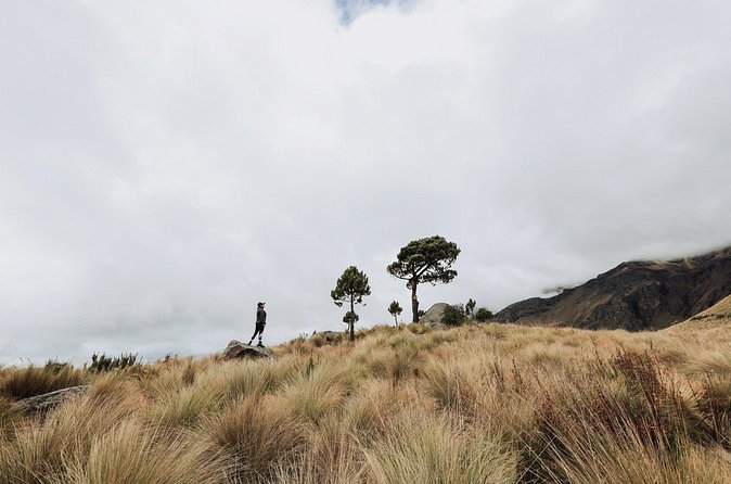 Hiking Tour on the Iztaccíhuatl Volcano from Puebla - Who this hike suits best (and who might struggle)