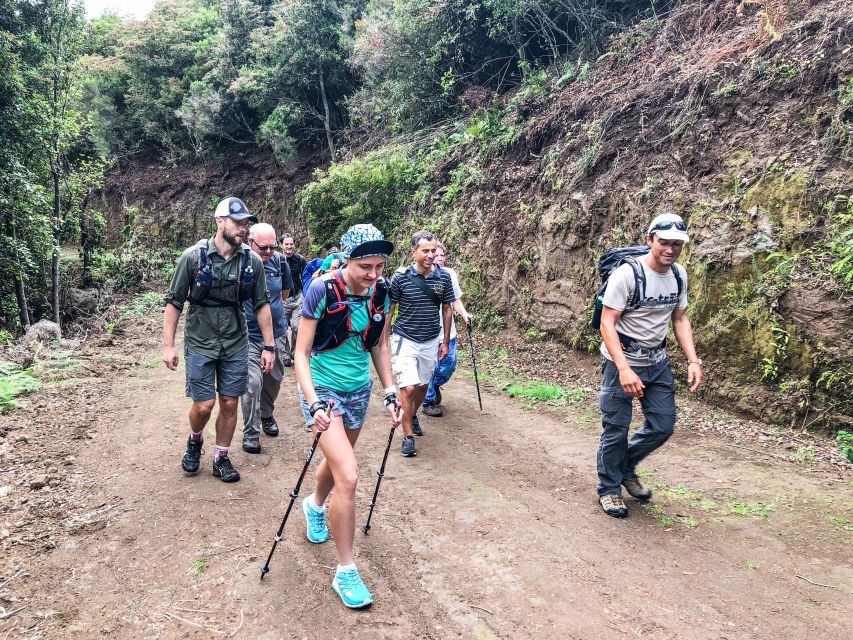 Hiking Trip with a Local - Madeira hiking, the quiet way: what you get in this 1-day tour