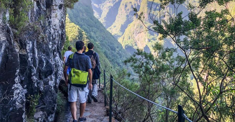 Hiking Trip with a Local - Picking your day: Madeira’s best trails, with distances and difficulty