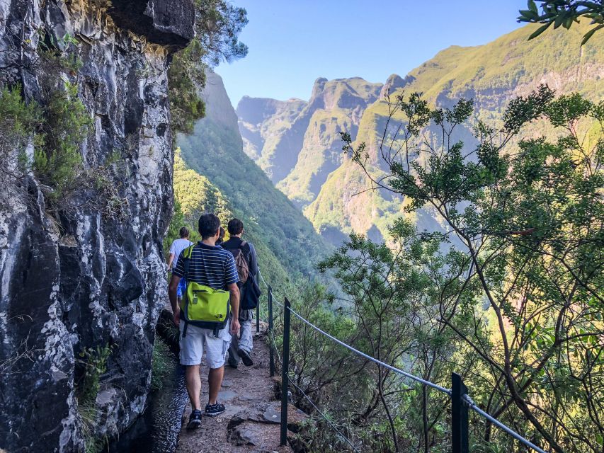 Hiking Trip with a Local - What makes the UNESCO Laurissilva walking special (and not just scenic)
