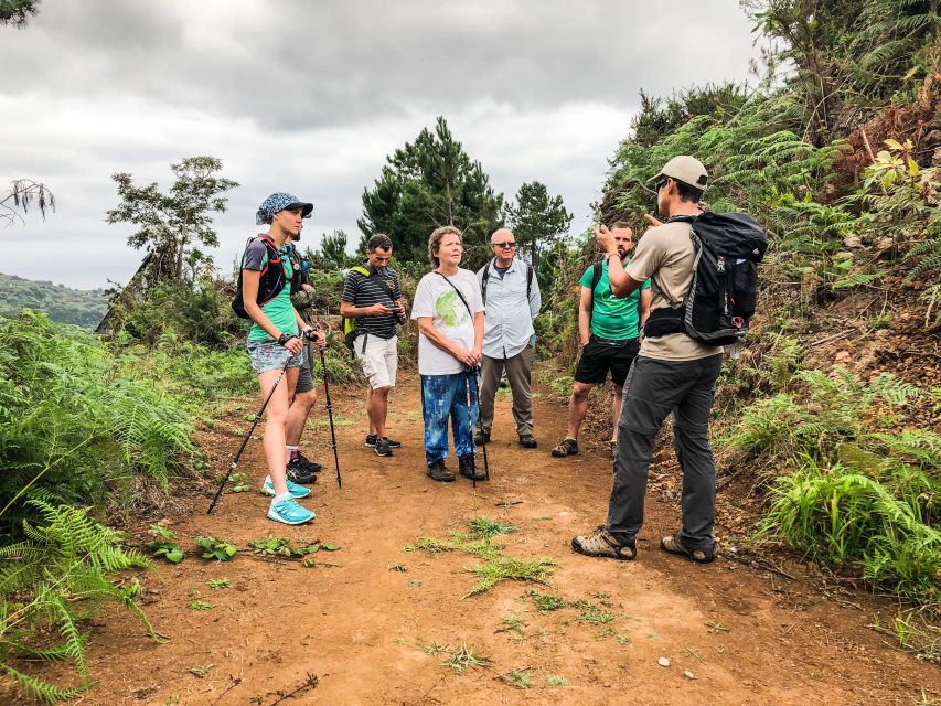 Hiking Trip with a Local - The guide makes (or breaks) your day: what you can expect from Dino