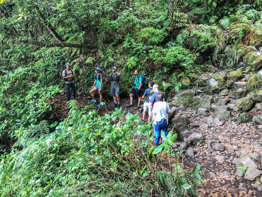 Hiking Trip with a Local - Who this tour is best for (and who should skip it)