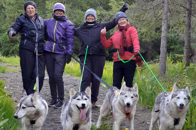 Hiking with Husky in Akureyri - Key Husky Hiking Highlights You’ll Actually Care About