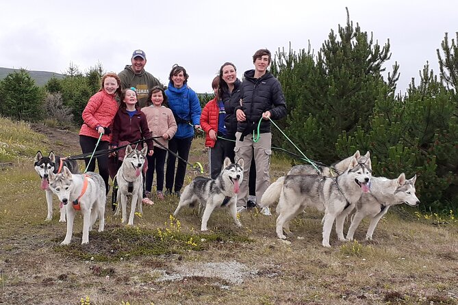 Hiking with Husky in Akureyri - Why Hiking With Huskies Near Akureyri Feels Like a Real Visit