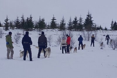Hiking with Husky in Akureyri - Meet at Glæsibær 3: The Logistics That Make This Easy