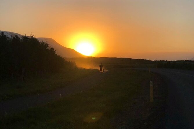 Hiking with Husky in Akureyri - Back at the House: Meet the Rest of the Pack
