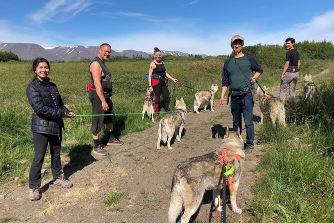 Hiking with Husky in Akureyri - Who This Tour Fits Best (and Who Should Think Twice)