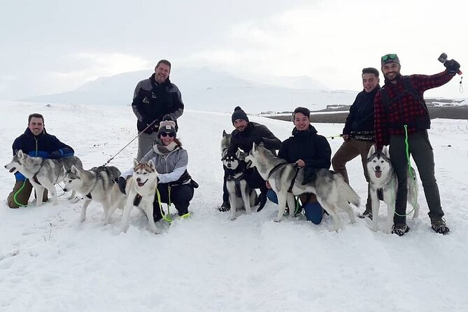 Hiking with Husky in Akureyri - The Little Things That Improve Your Day