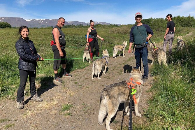 Hiking with Husky in Akureyri (private) - Husky Power in Akureyri: Why This Private Walk Feels Personal