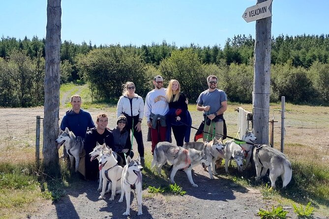 Hiking with Husky in Akureyri (private) - The Husky-Led Walk: Forest Trails and Real Scenery