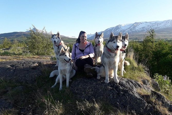 Hiking with Husky in Akureyri (private) - Who This Husky Hike Fits Best (And Who Might Want a Different Day)