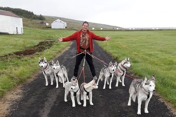 Hiking with Husky in Akureyri (private) - Weather Reality Check: The One Thing That Can Change Your Plans