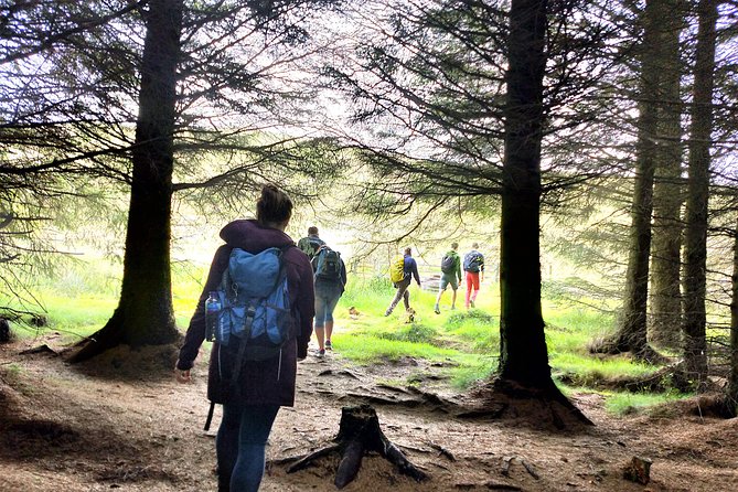 Hill & Nature Hike - Discover Real Edinburgh With a Local Expert - Wildlife chances: Hairy Coos, sheep, deer, and birds