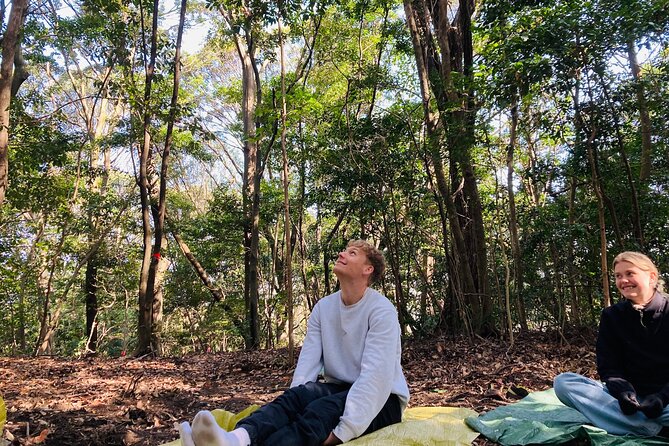 Hiroshima Local guided Hiking Tour&Open-air Tea Ceremony - Weather and timing: choose the right morning for your style