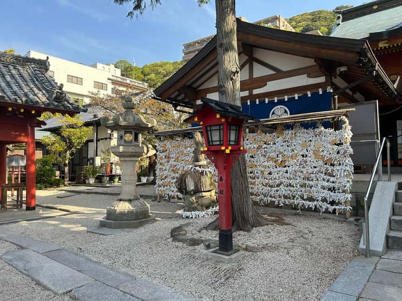 Hiroshima: Spring Hiking Tour with Open-air Tea Ceremony - Price and value: what $116 buys you here