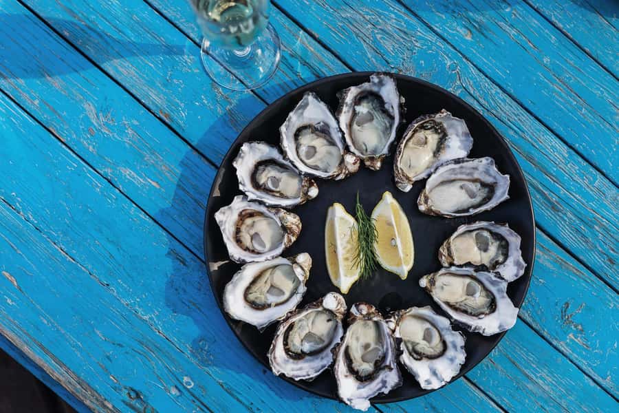 Hobart: Bruny Island Adventure: Hike, Highlights & Tastes - Key things to know before you go