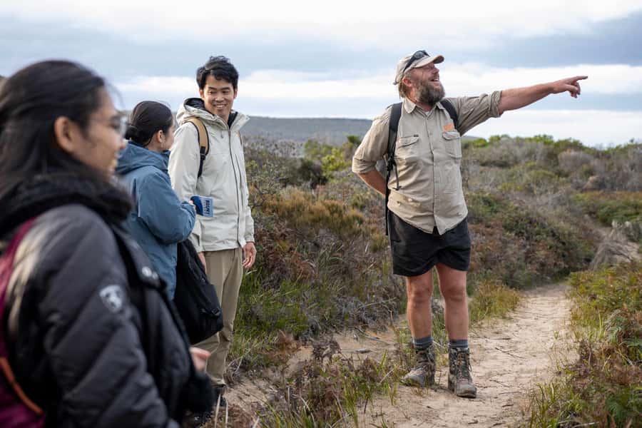 Hobart: Bruny Island Adventure: Hike, Highlights & Tastes - Mars Bluff, Miles Beach, and the coastline’s photo stops