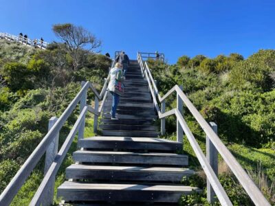 Hobart: Bruny Island Adventure: Hike, Highlights & Tastes - Hiking to Bruny Arch on the Cape Queen Elizabeth Trail section