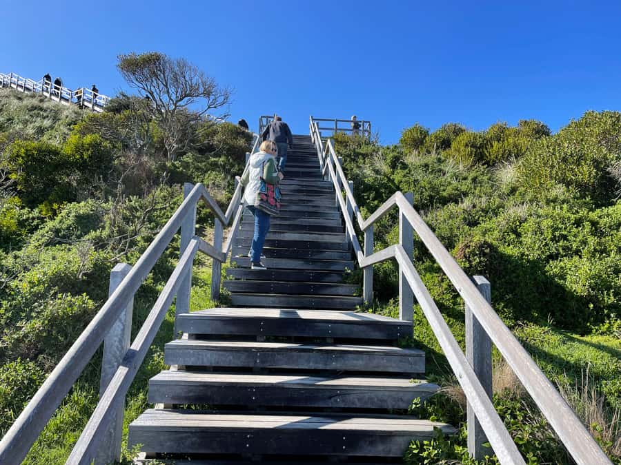 Hobart: Bruny Island Adventure: Hike, Highlights & Tastes - Hiking to Bruny Arch on the Cape Queen Elizabeth Trail section