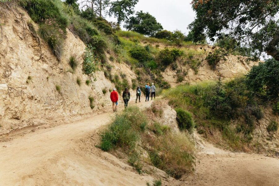 Hollywood Sign Hiking Tour to Griffith Observatory - Price, Value, and Whether $613 Makes Sense