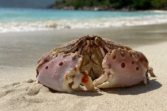 Honeymoon Beach Eco Hike and Snorkel - Where the Tour Starts and How You Get Ready